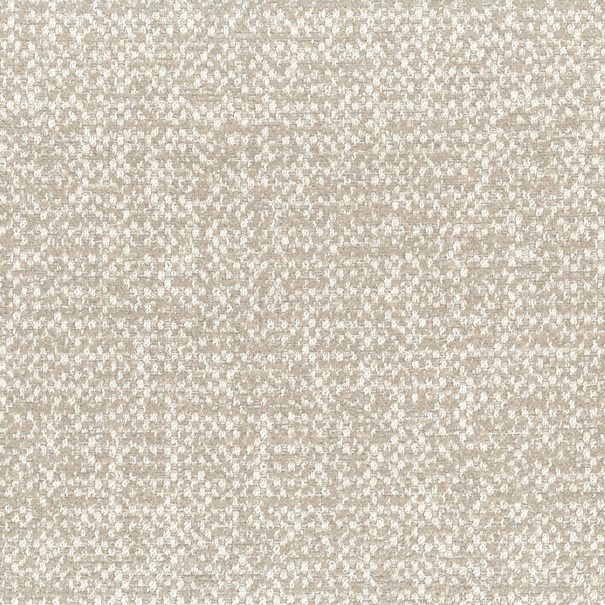 SALERNO COLLECTION