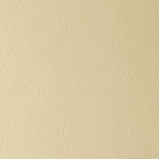 ARIZONA BEIGEBUTTERFLY