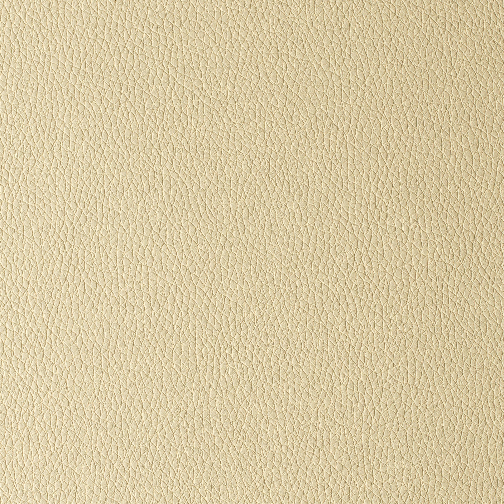 ARIZONA BEIGEBUTTERFLY