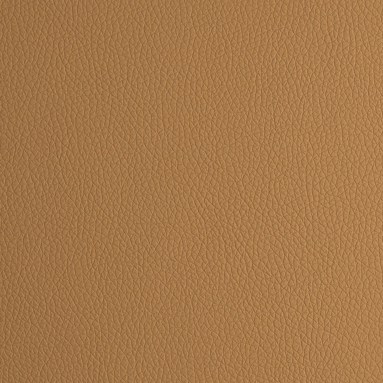 フレムワークキャメル色 ARIZONA COLLECTION – Elastron Group