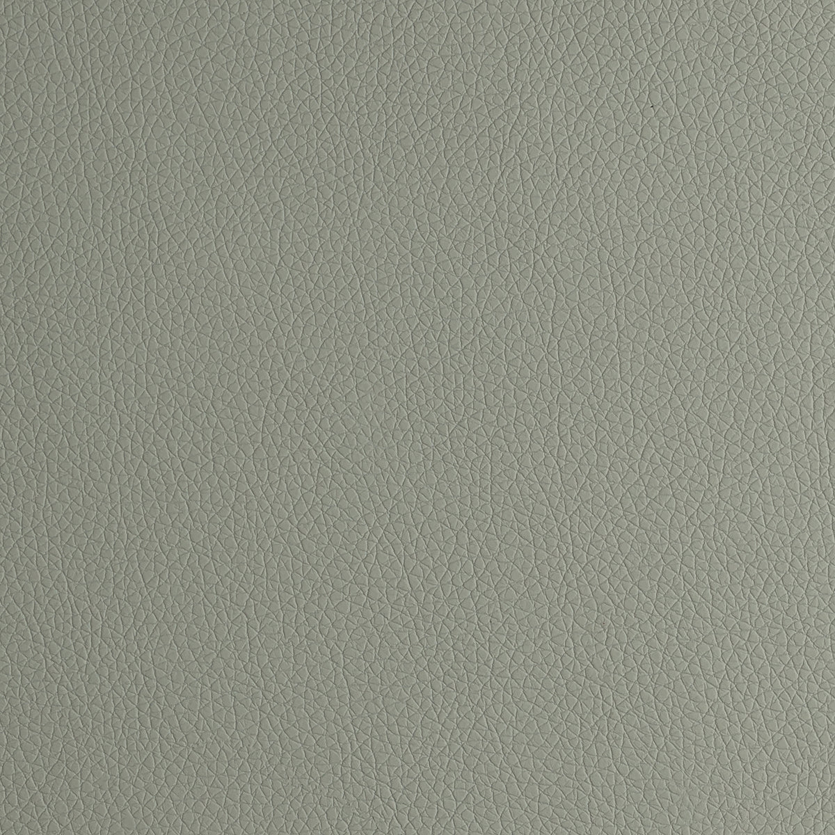 Arizona Collection ARIZONA COLLECTION – Elastron Group