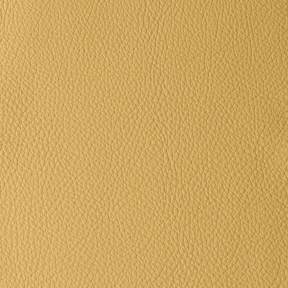 ATLANTIDA COLLECTION