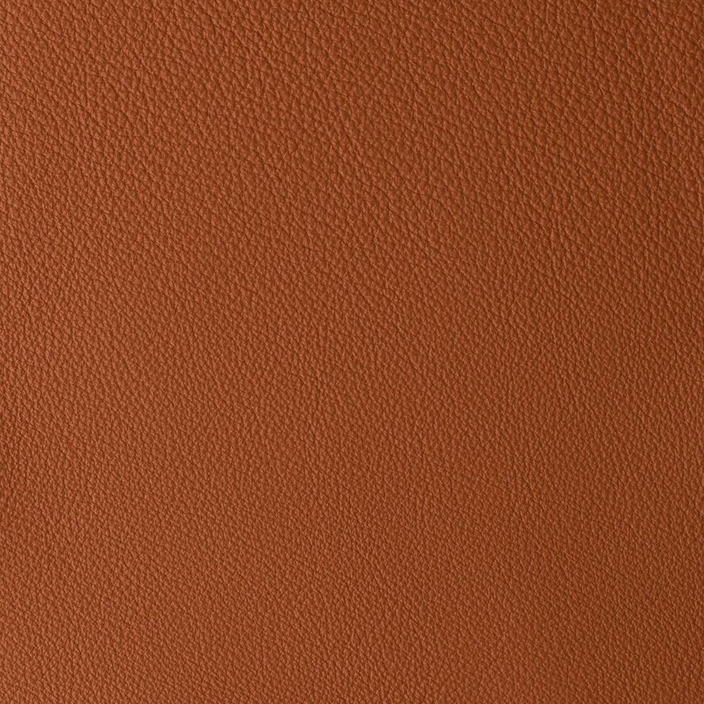 ATLANTIDA COLLECTION