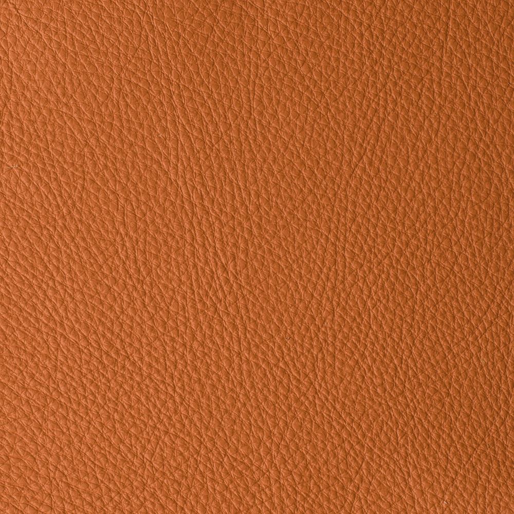 ATLANTIDA COLLECTION