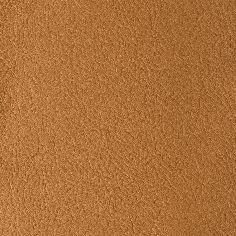 ATLANTIDA COLLECTION