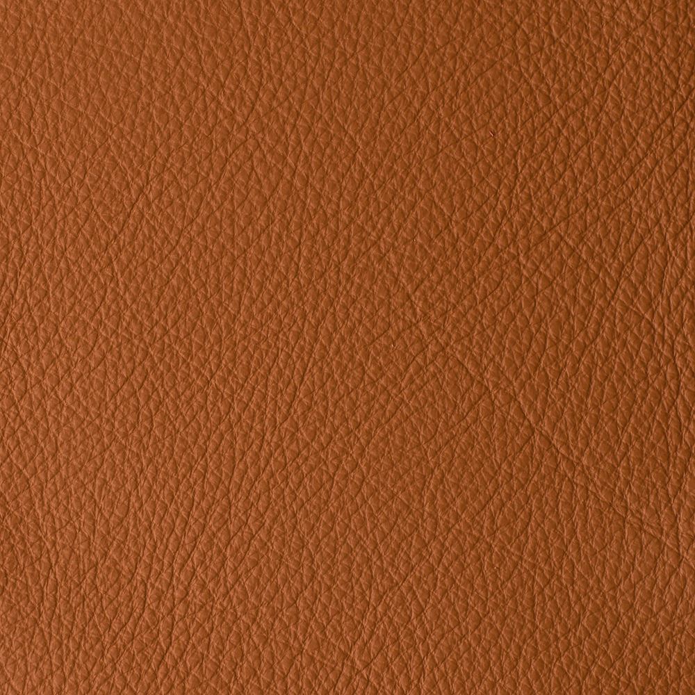 ATLANTIDA COLLECTION