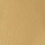 ATLANTIDA COLLECTION