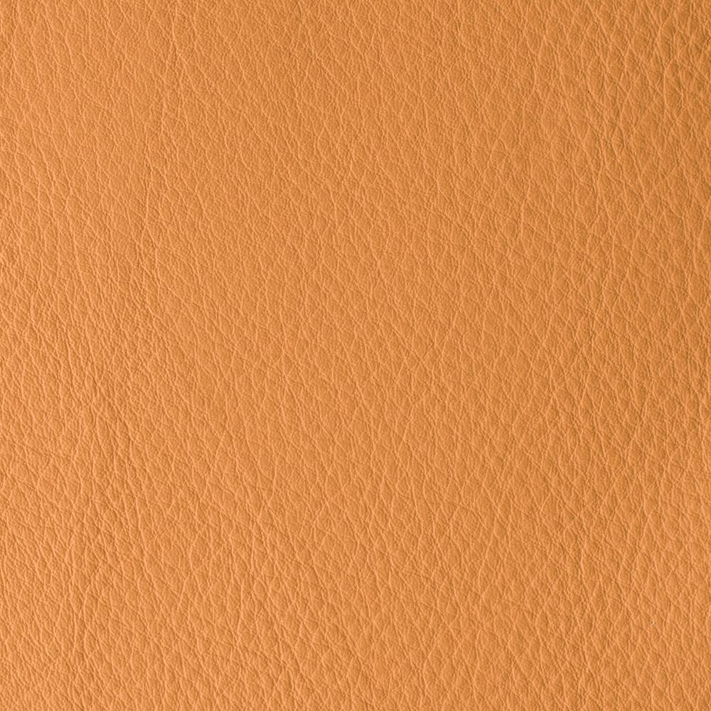 ATLANTIDA COLLECTION