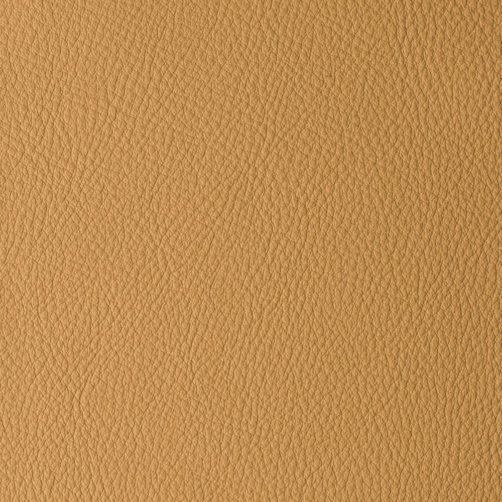 ATLANTIDA COLLECTION