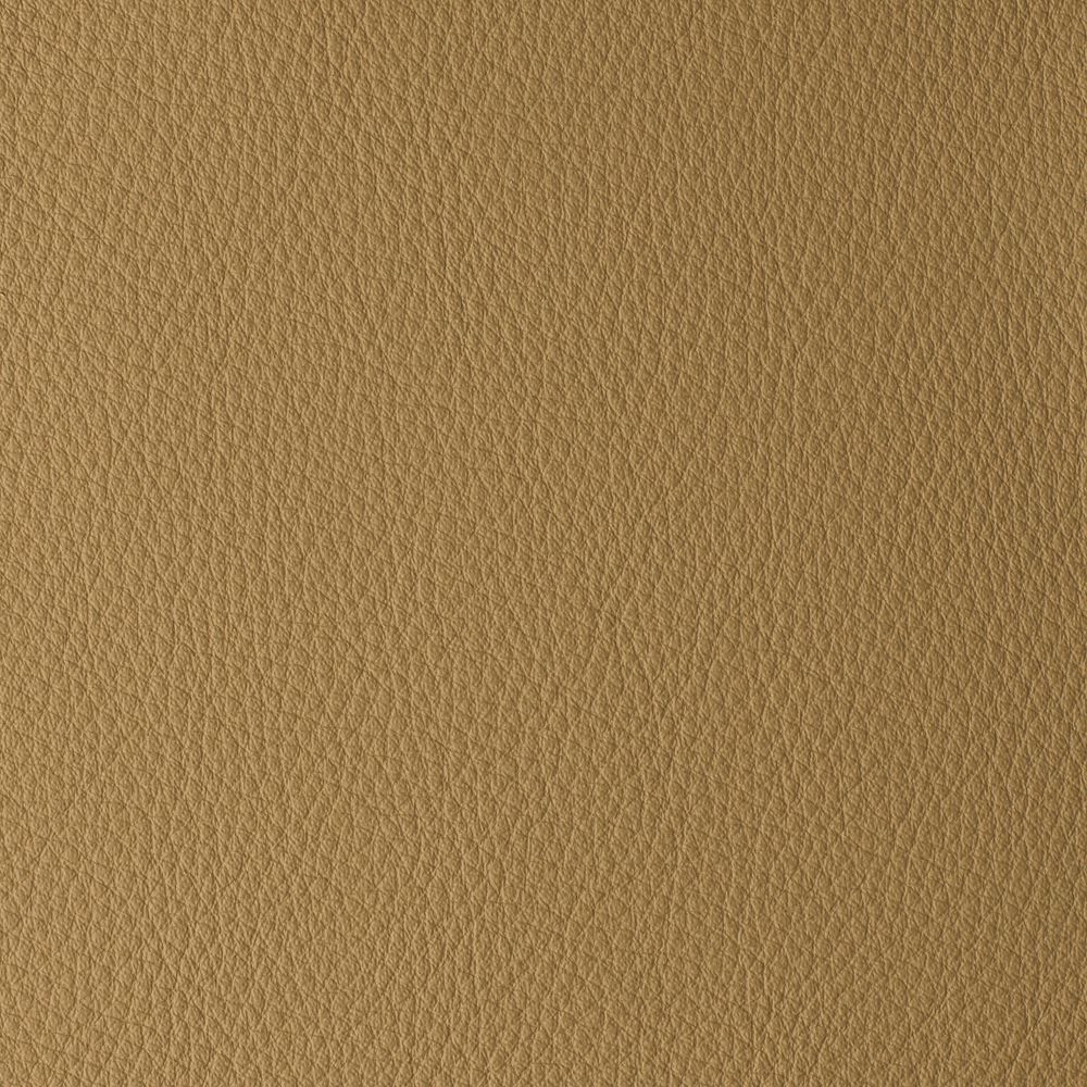 ATLANTIDA COLLECTION