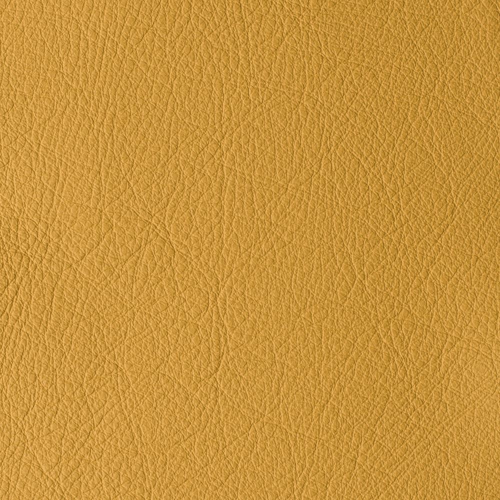 ATLANTIDA COLLECTION