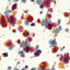 AQUARELA RASPBERRY COLLECTION