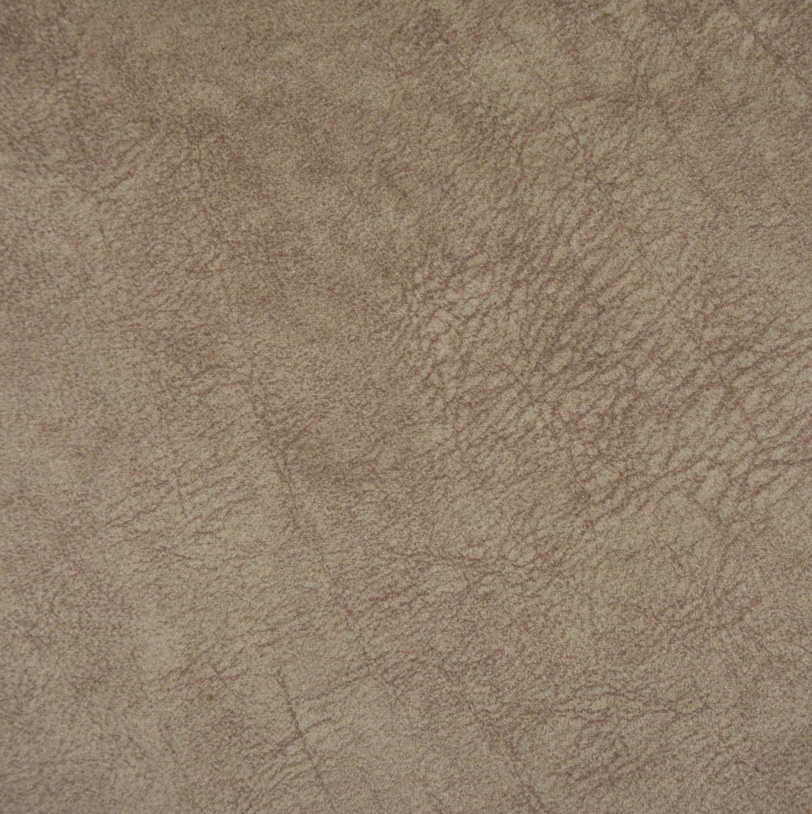 BANGKOK TRUFA Main image