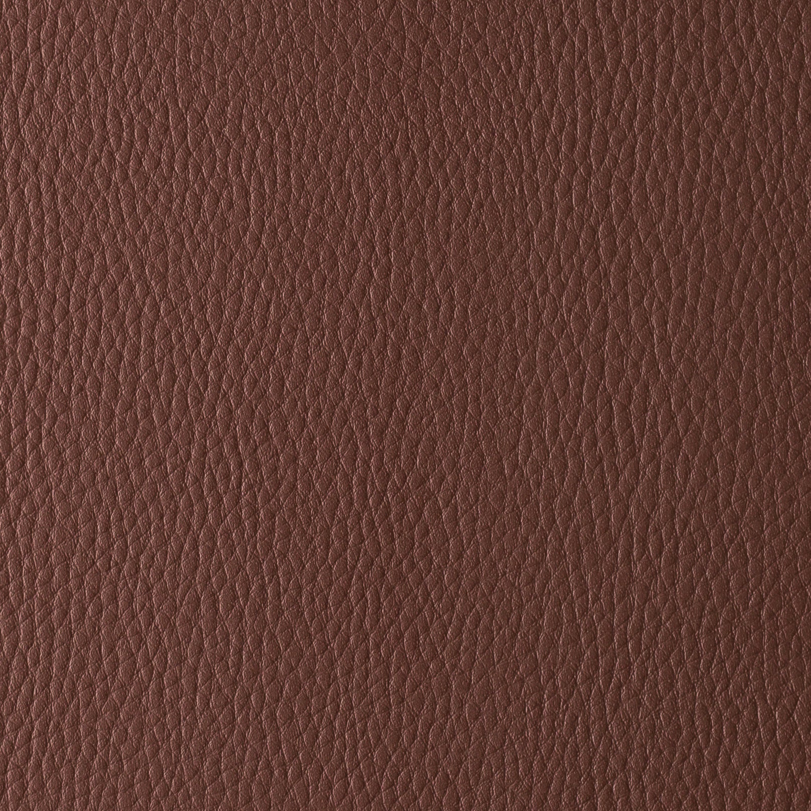 BARCELONA COLLECTION