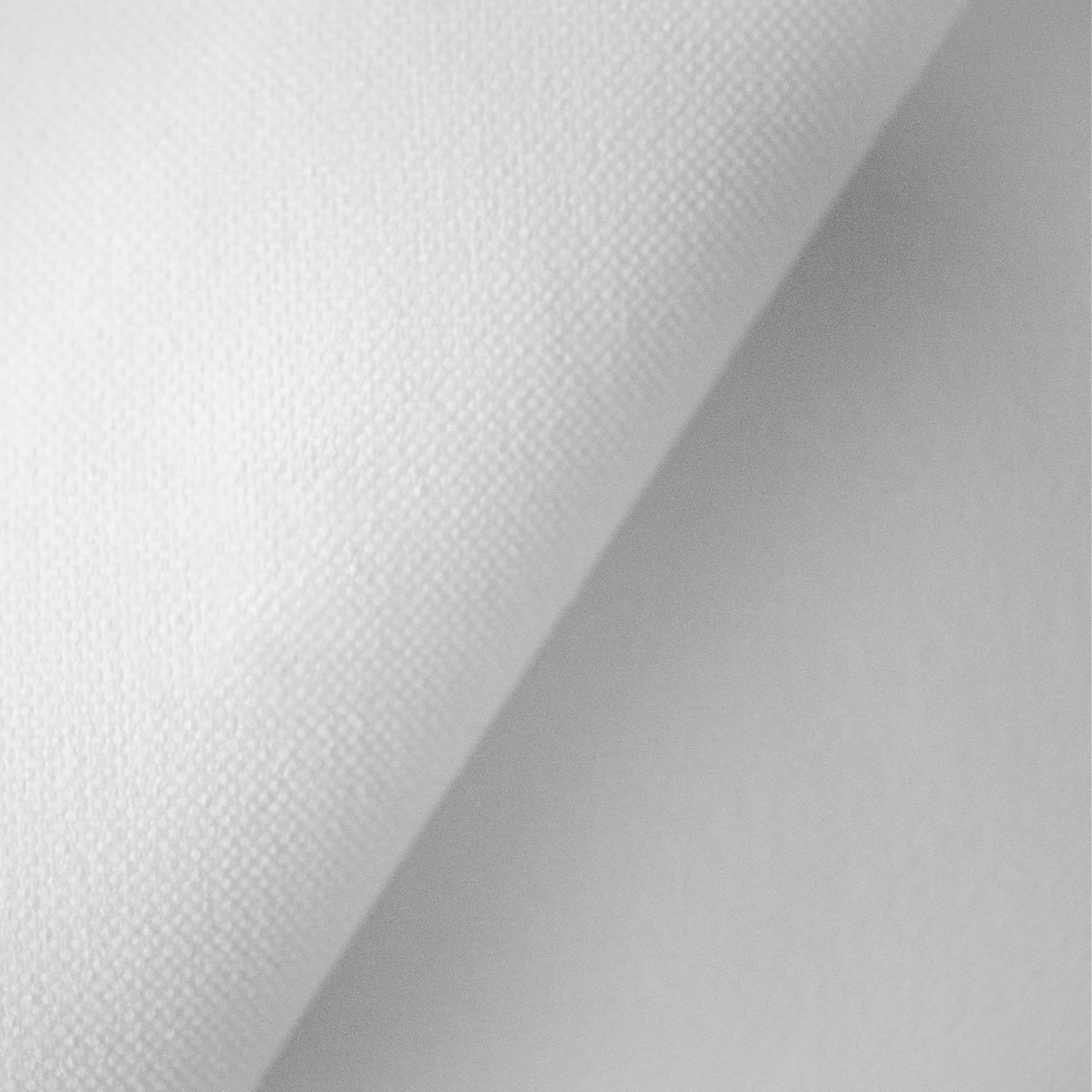CANVAS COLLECTION