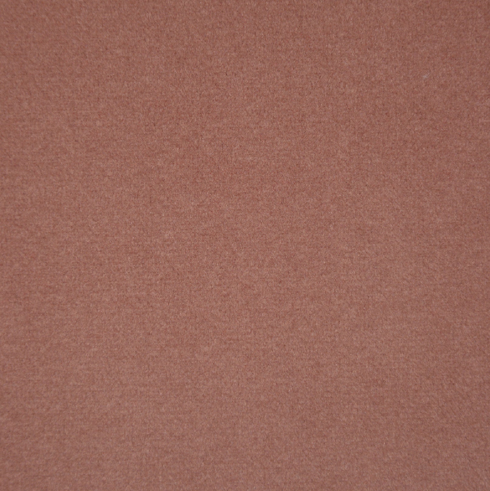 CASINO SALMON Main image