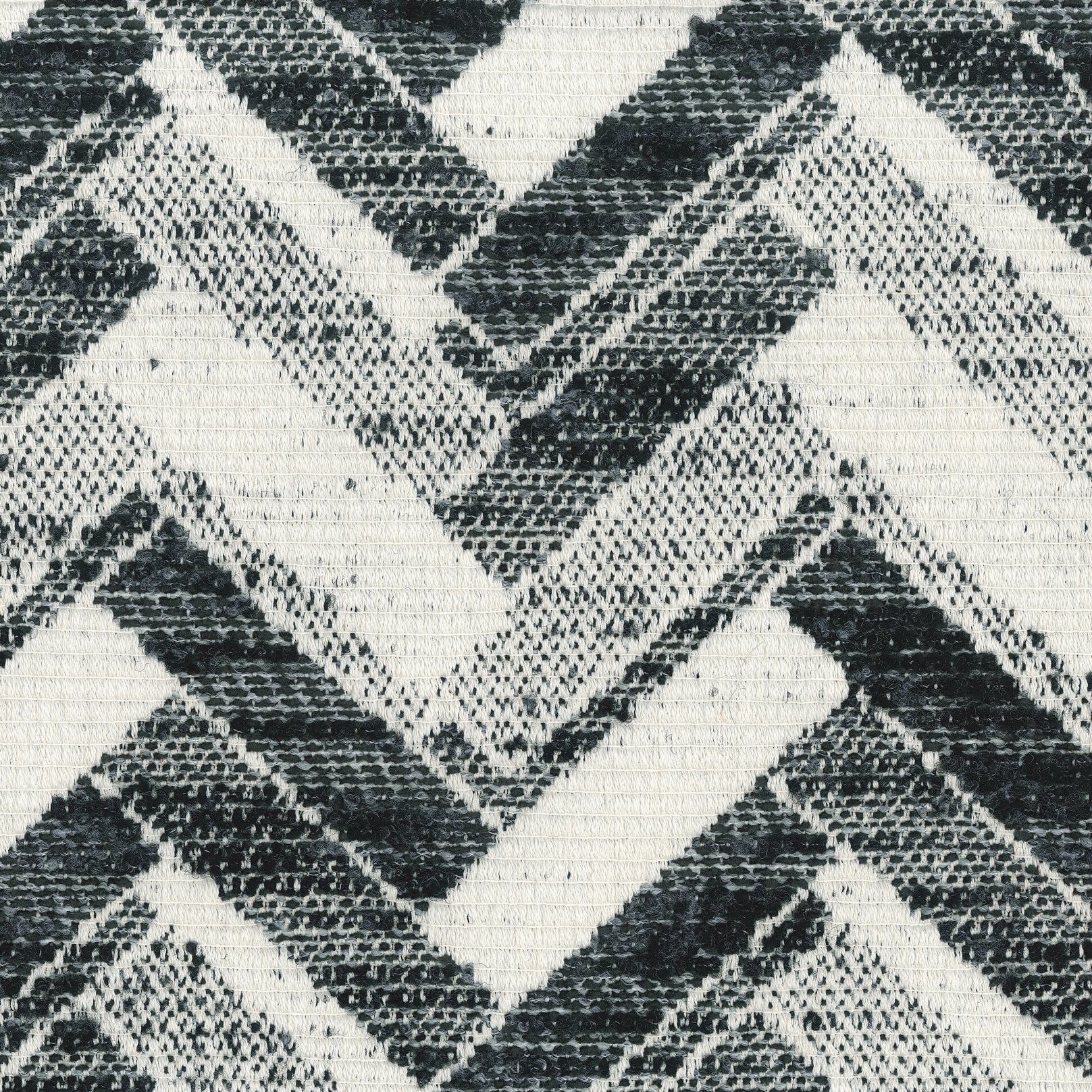 CHASE COLLECTION Main image