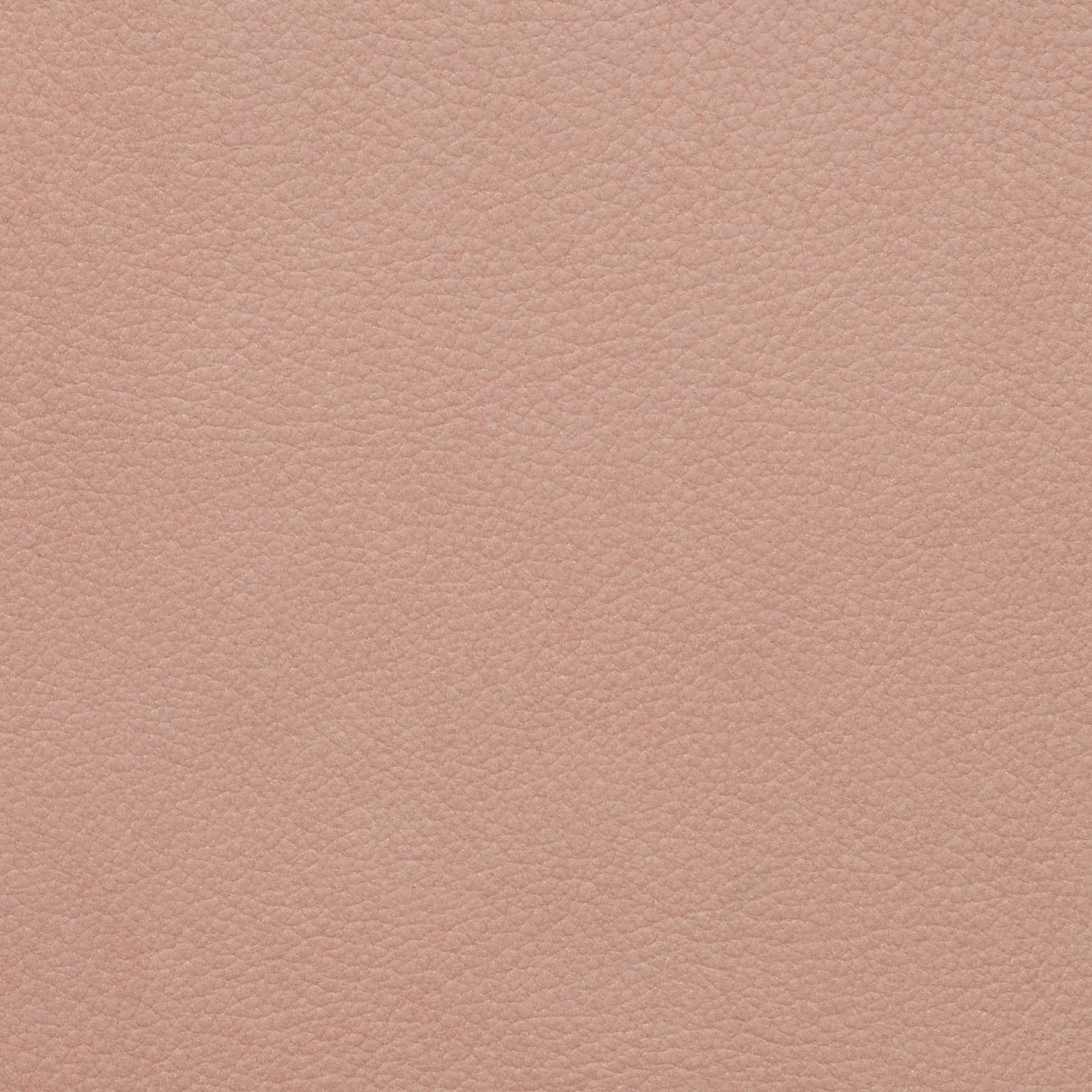 COLUMBIA COLLECTION Main image