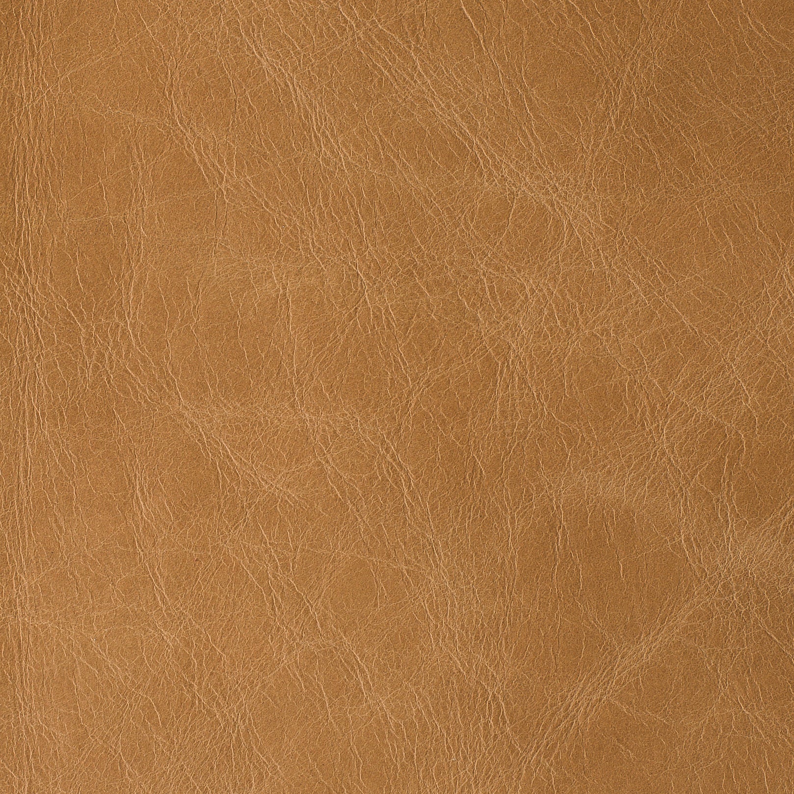 COUNTRY COLLECTION Main image