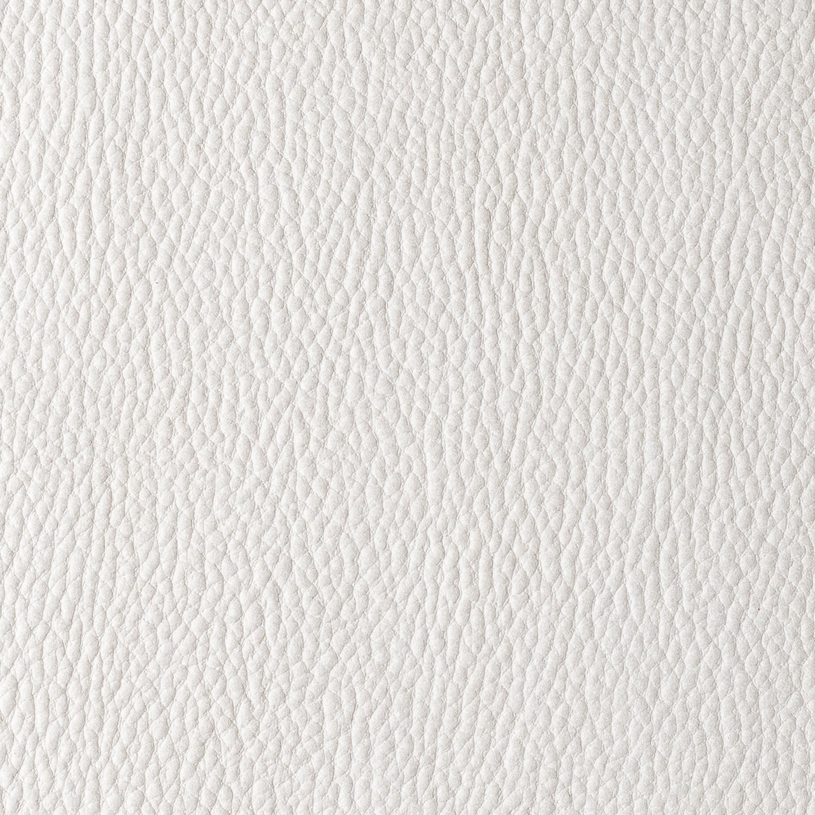 HABANA COLLECTION Main image