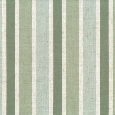 HOLLYWOOD COLLECTION