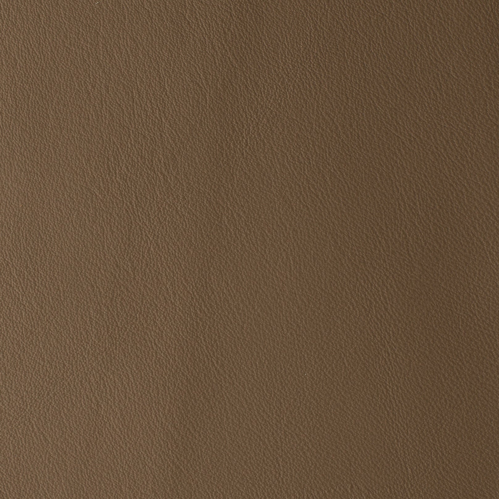 LAGUNA COLLECTION Main image