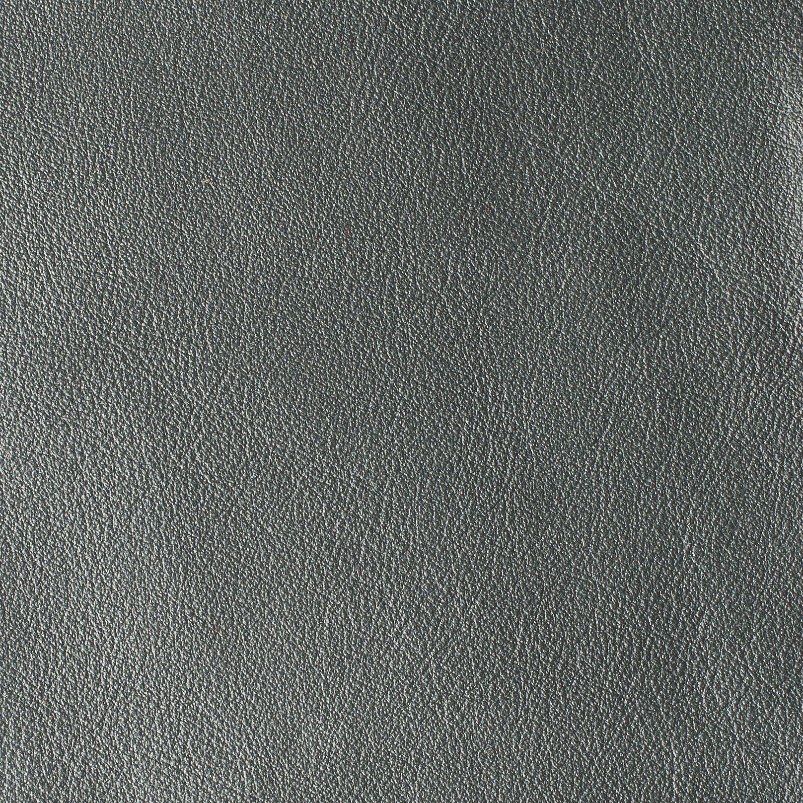 LAS VEGAS COLLECTION