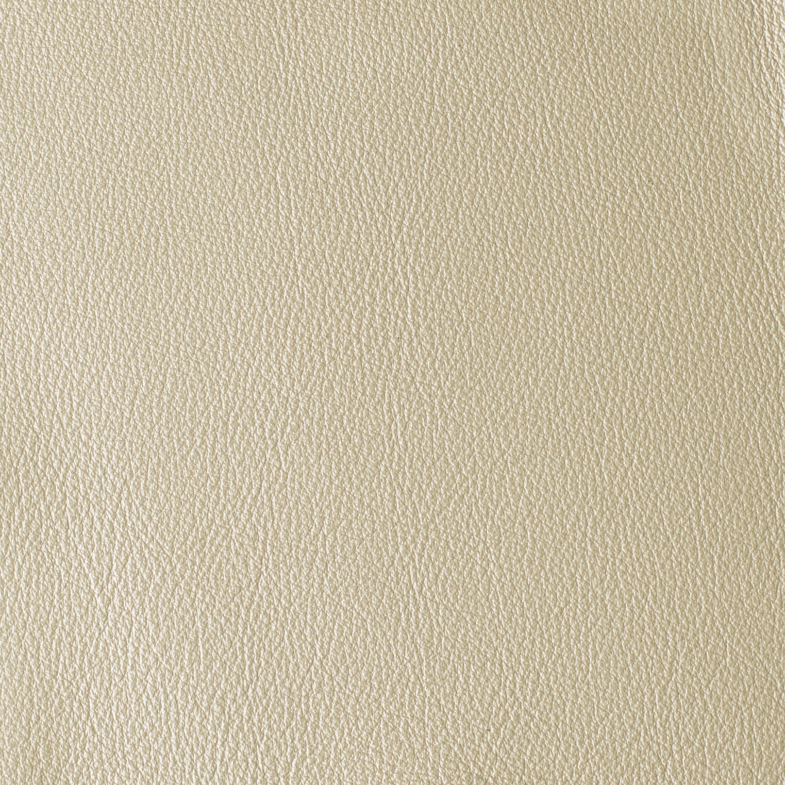 LAS VEGAS COLLECTION