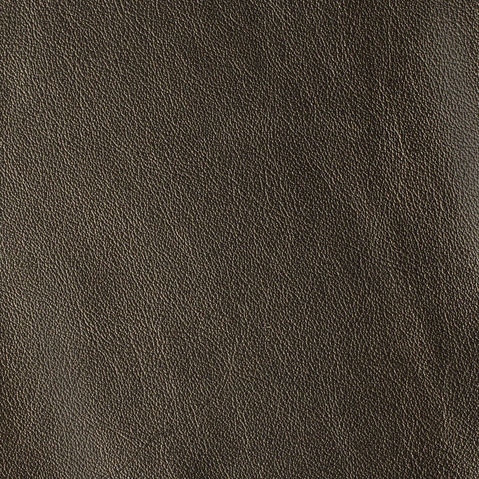 LAS VEGAS COLLECTION