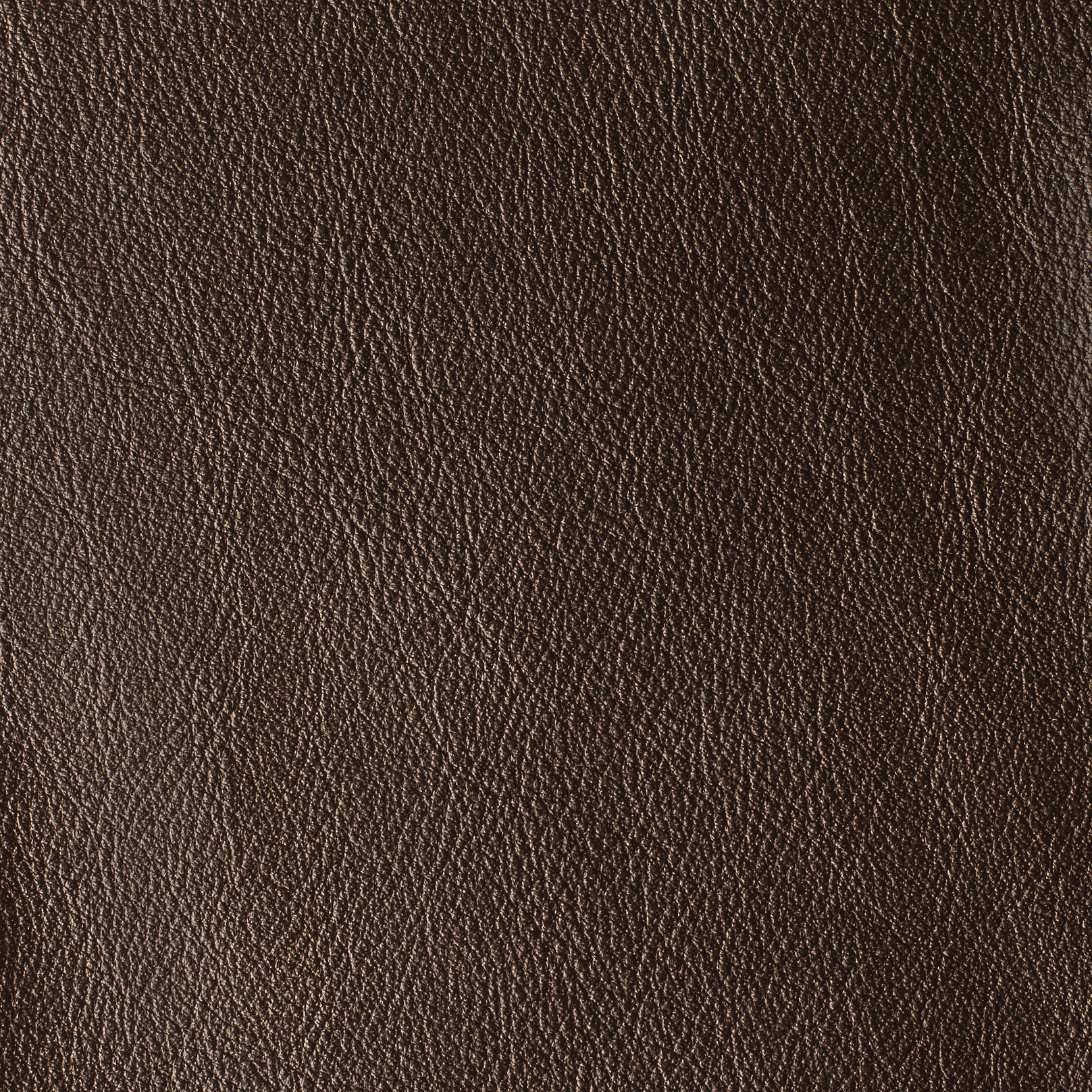 LAS VEGAS COLLECTION