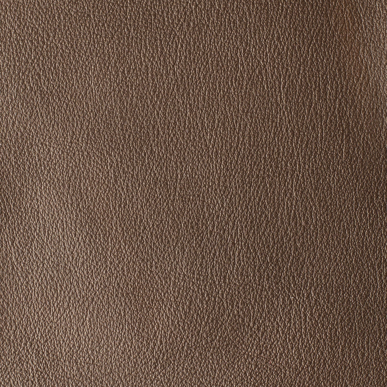 LAS VEGAS COLLECTION