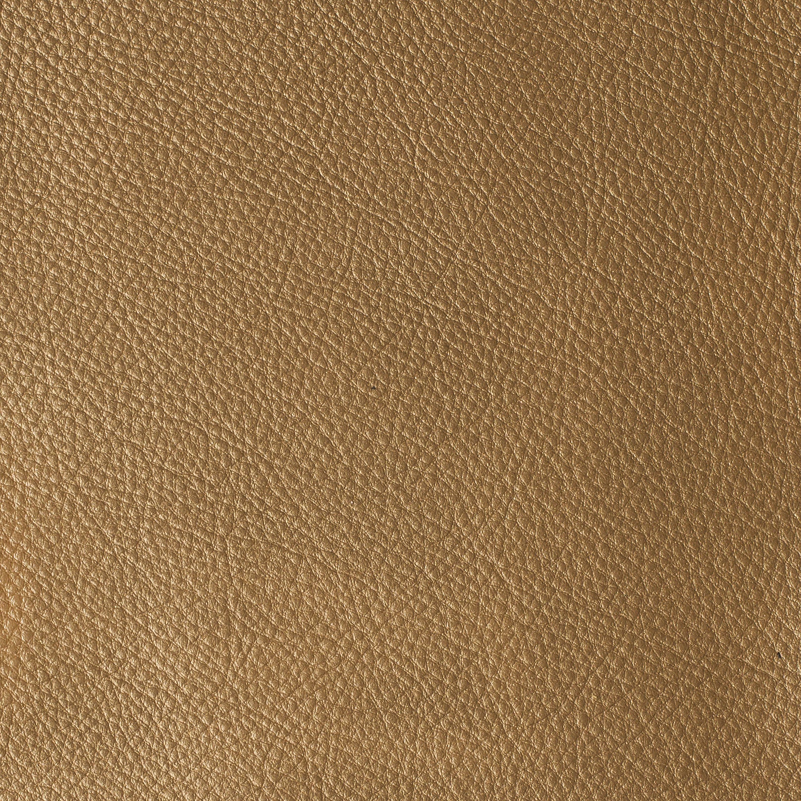 LAS VEGAS COLLECTION