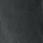 LAS VEGAS COLLECTION