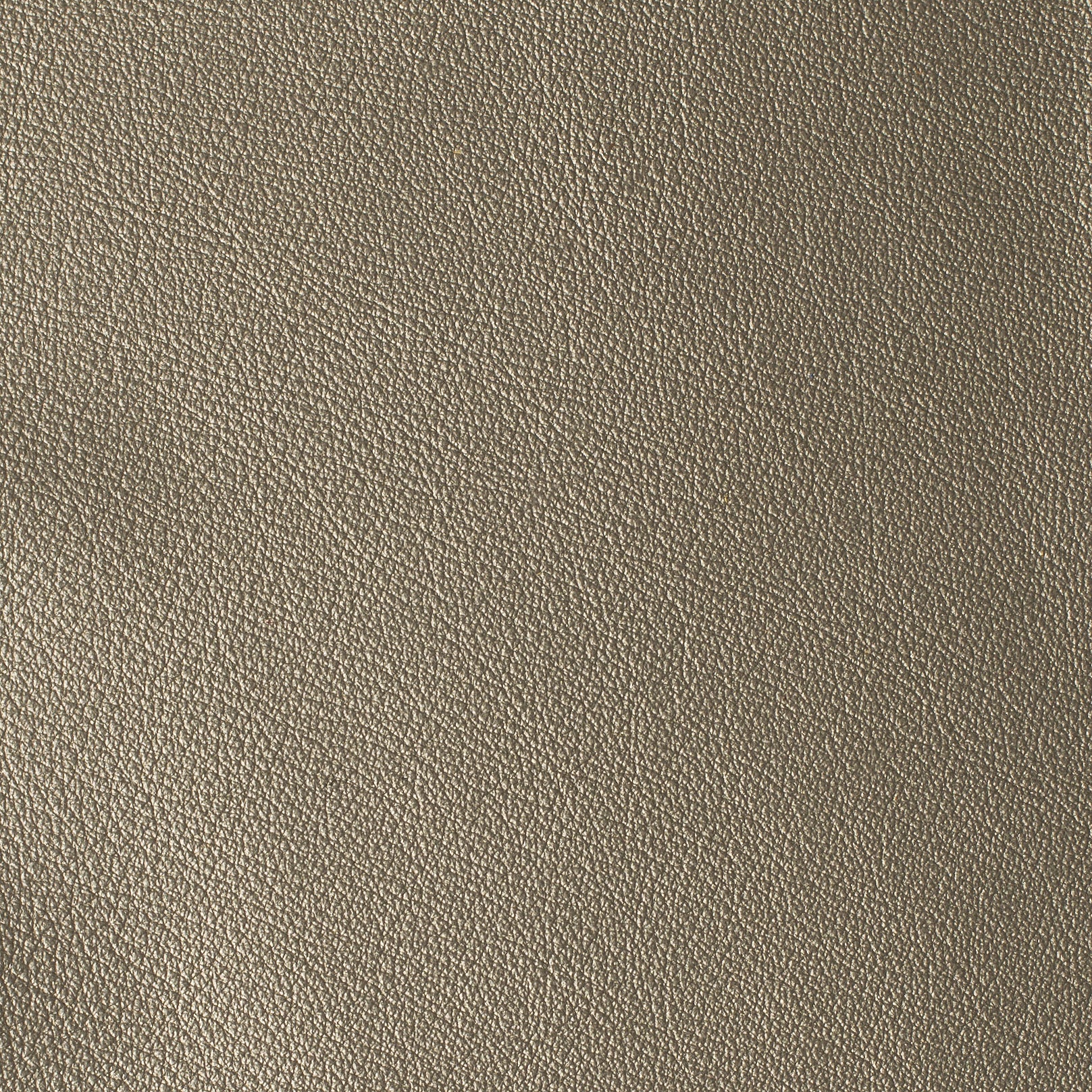 LAS VEGAS COLLECTION