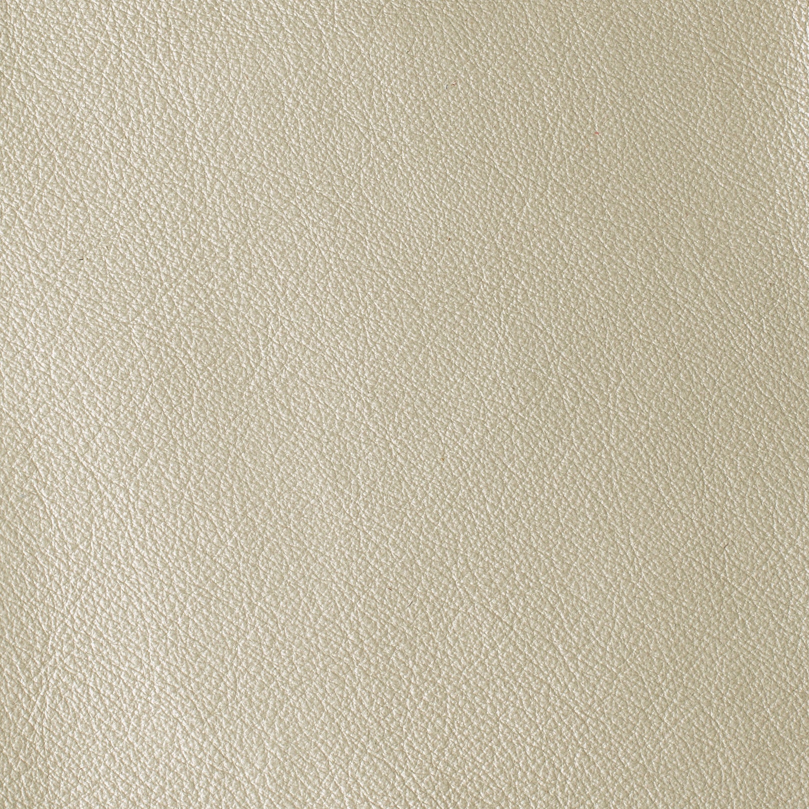 LAS VEGAS COLLECTION