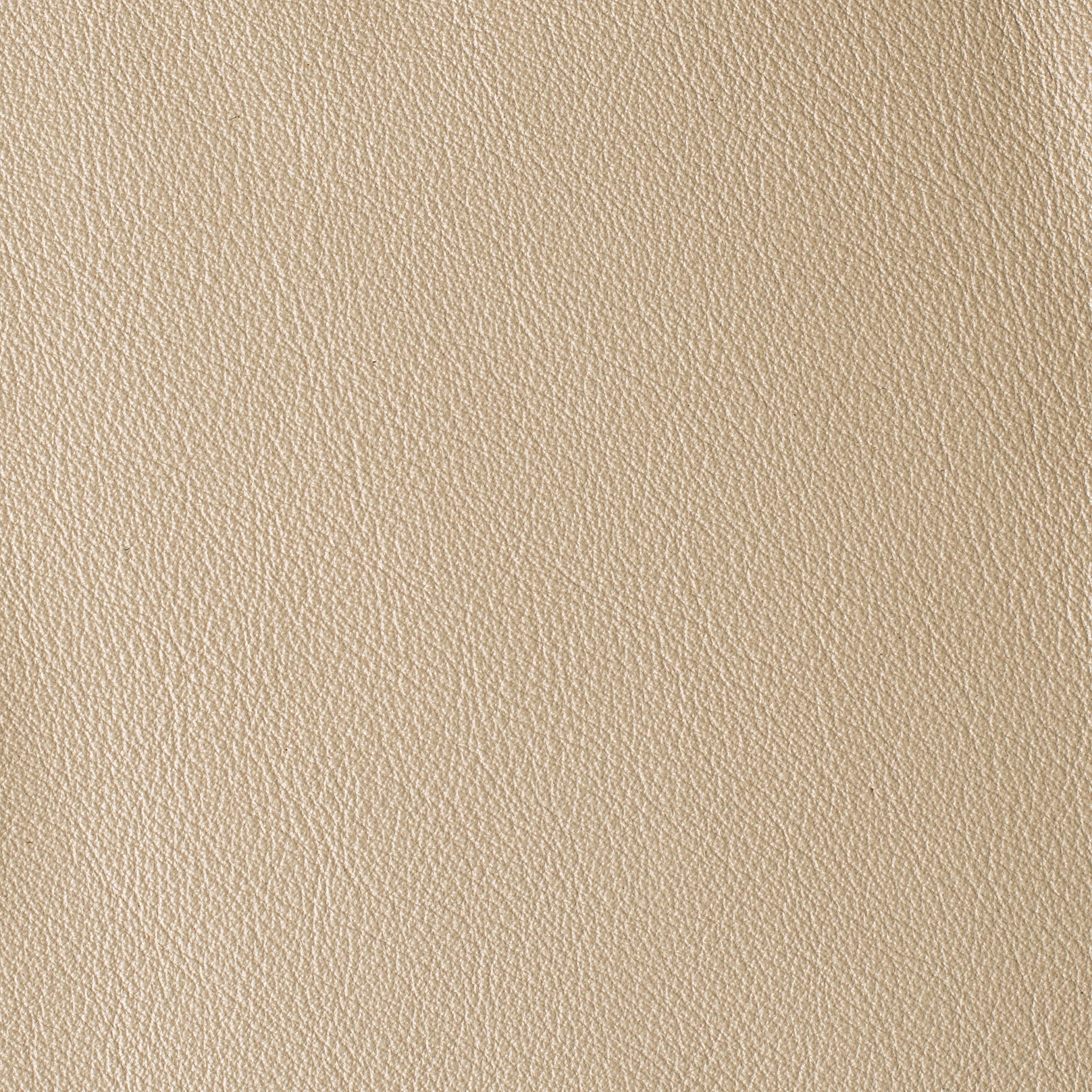 LAS VEGAS COLLECTION