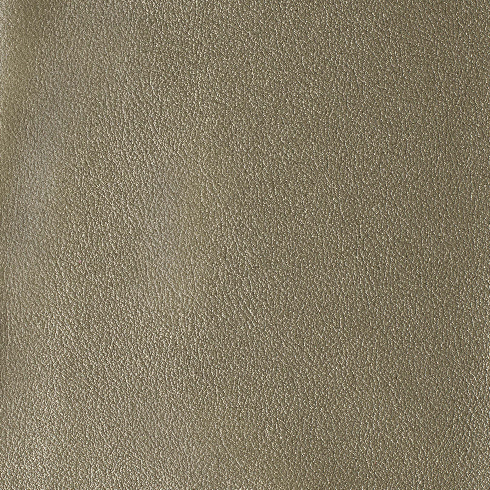 LAS VEGAS COLLECTION