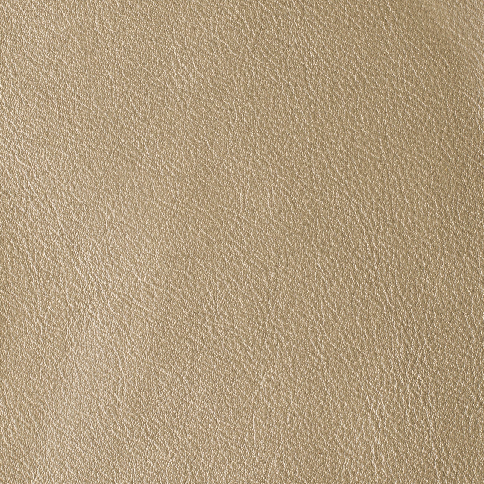 LAS VEGAS COLLECTION