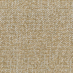 SALERNO COLLECTION