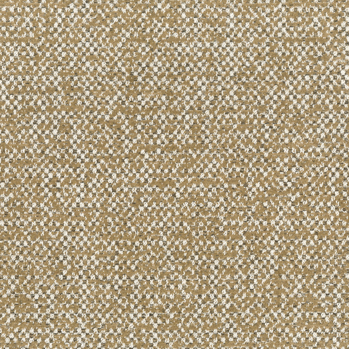 SALERNO COLLECTION