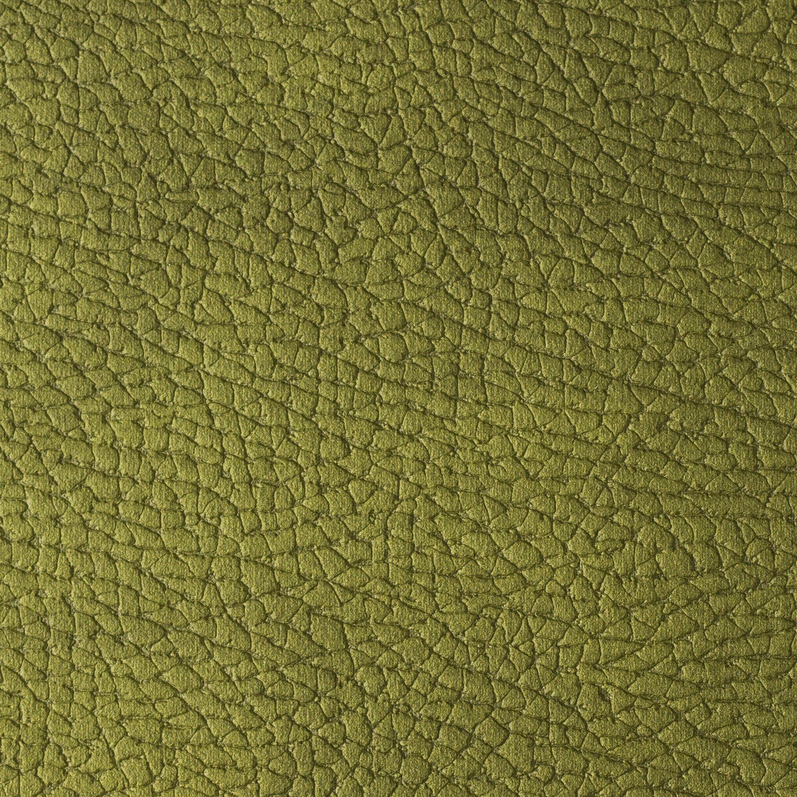 MOZART GREEN