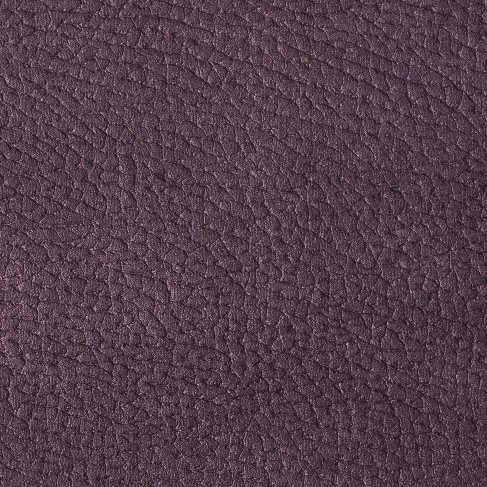 MOZART PURPLE 