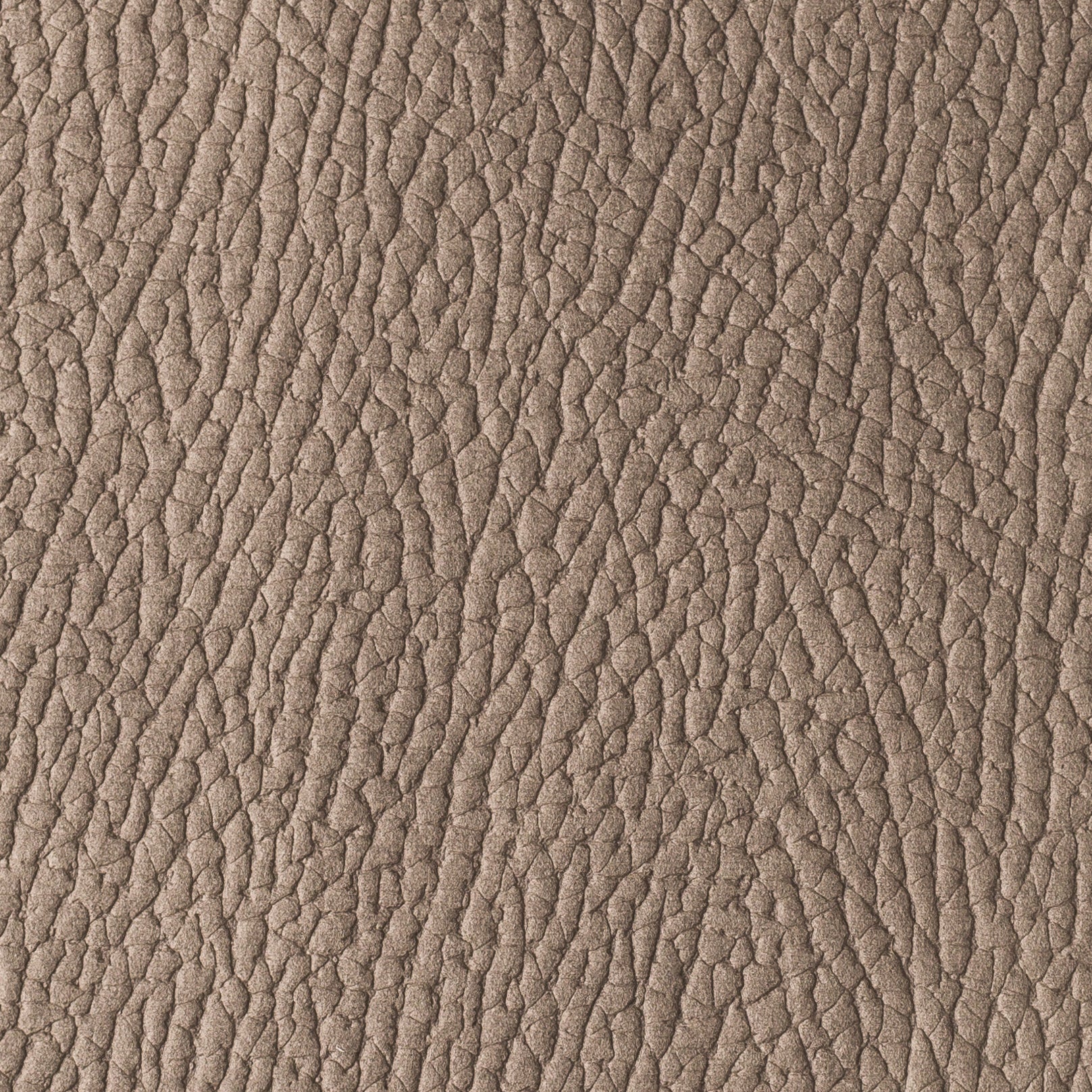 MOZART TAUPE