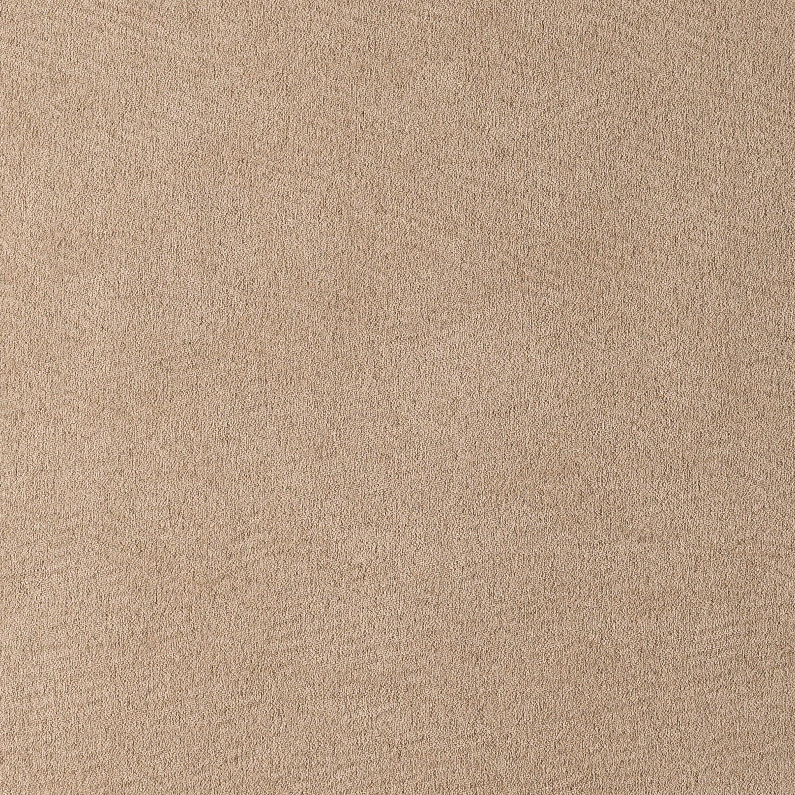 MUNICH SUEDE COLLECTION Main image