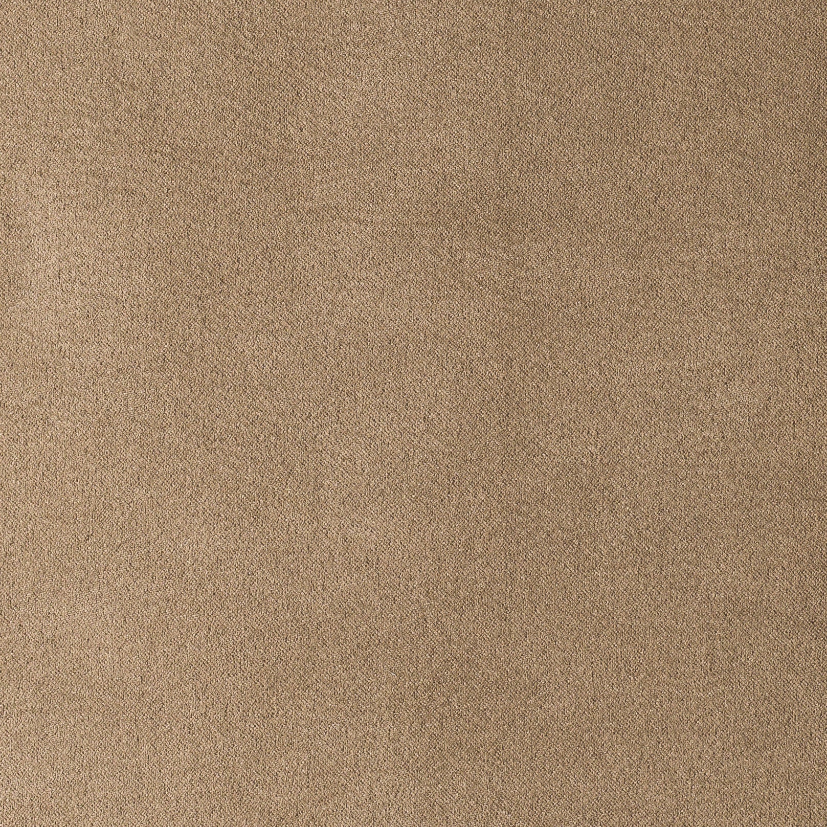 MUNICH SUEDE COLLECTION