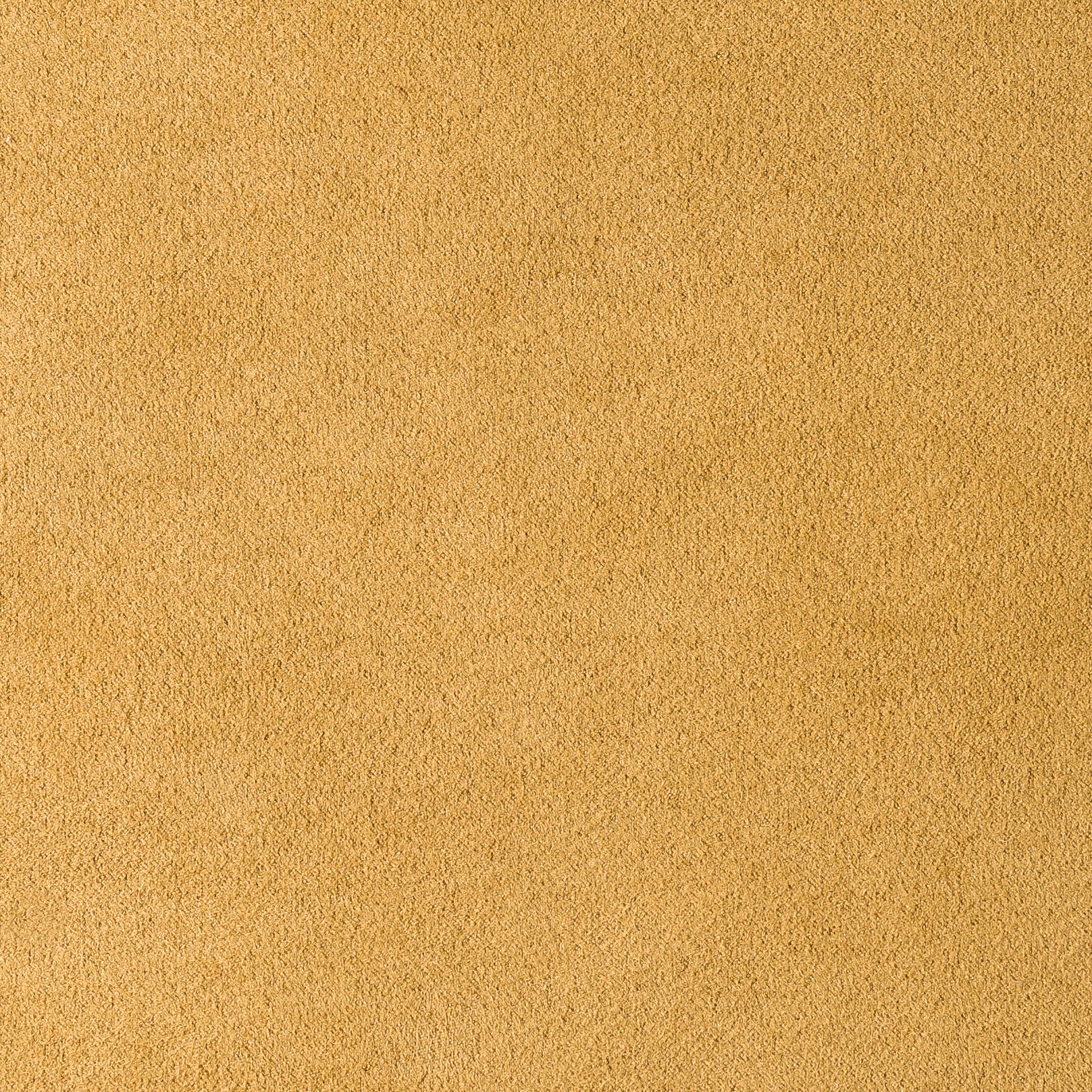 MUNICH SUEDE COLLECTION