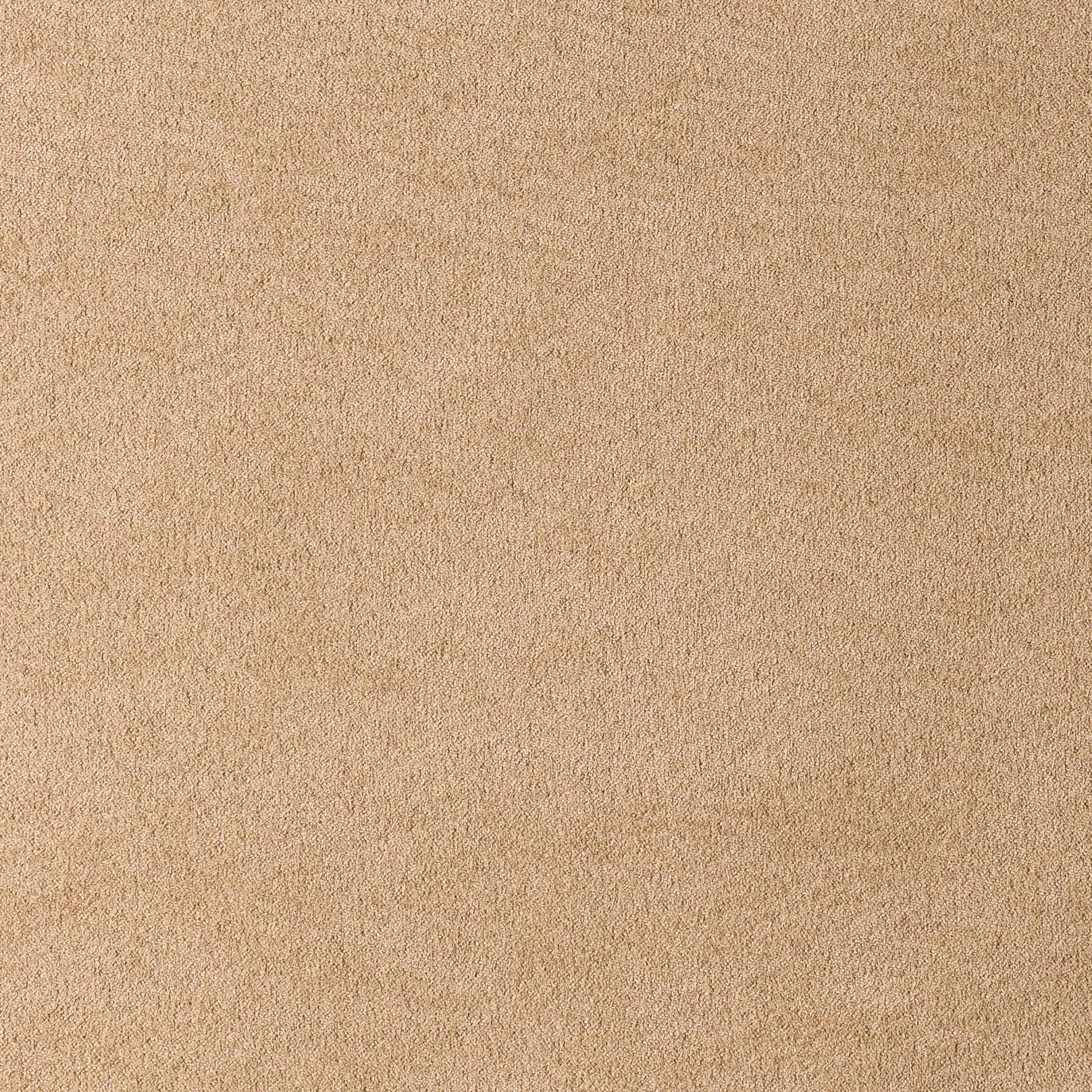 MUNICH SUEDE COLLECTION