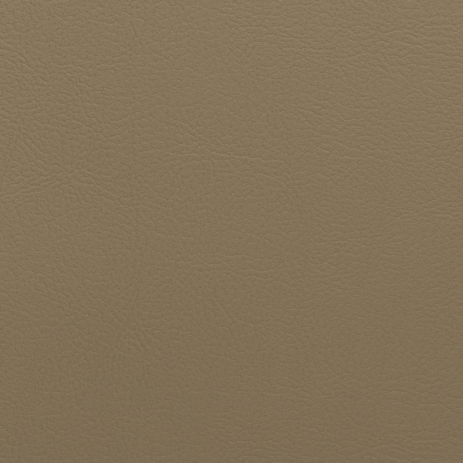 NAPPATECH COLLECTION Secondary image