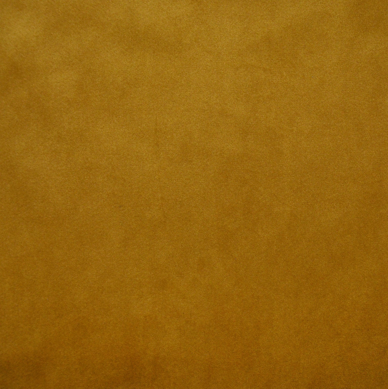 OPERA GOLD
