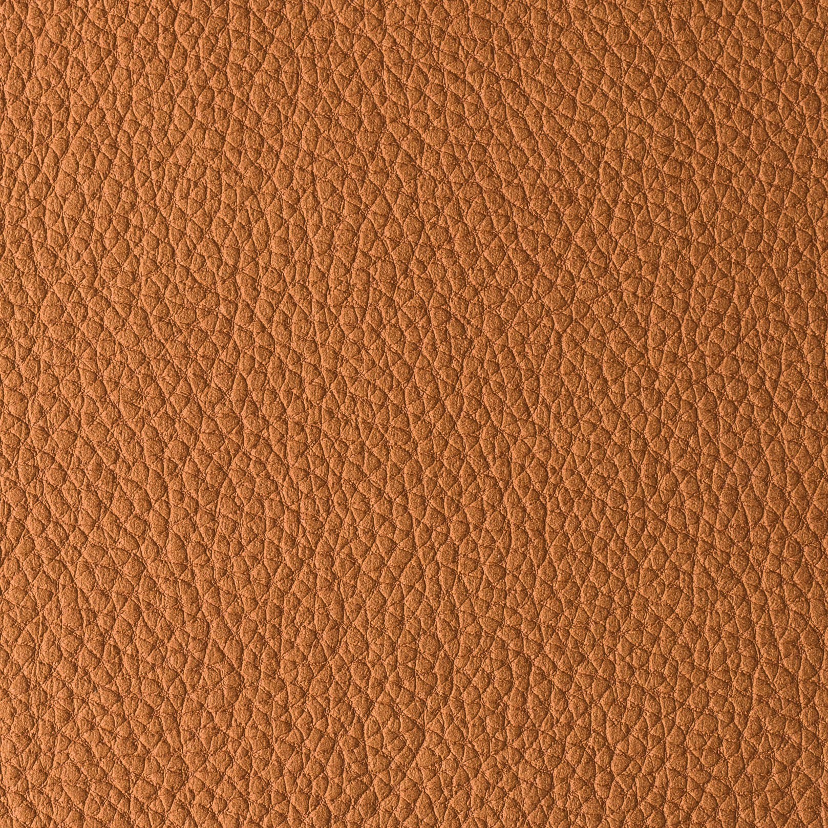 PACIFICO CARAMELLO